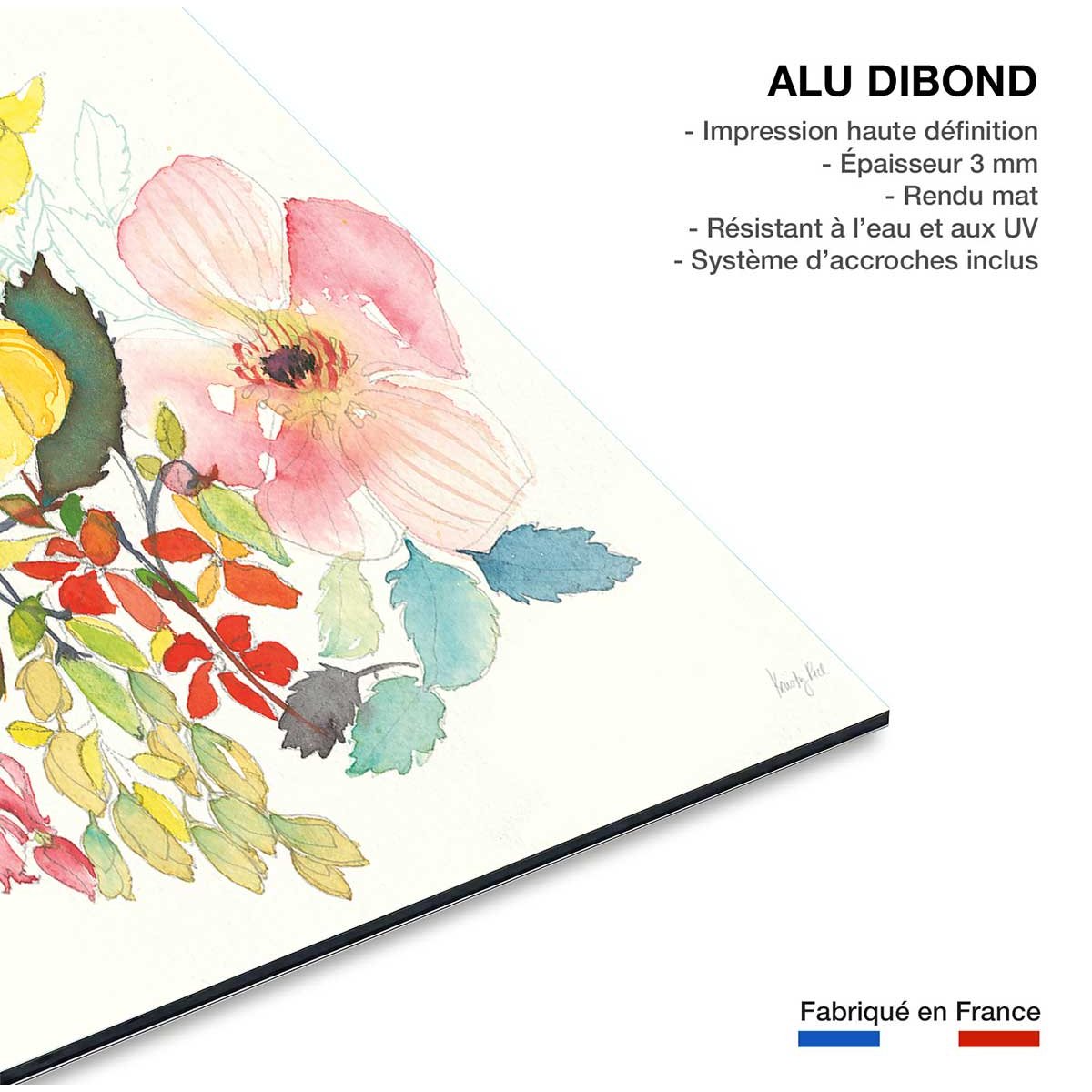 Tableau fleurs boutons d'or tableau alu dibond, HEXOA