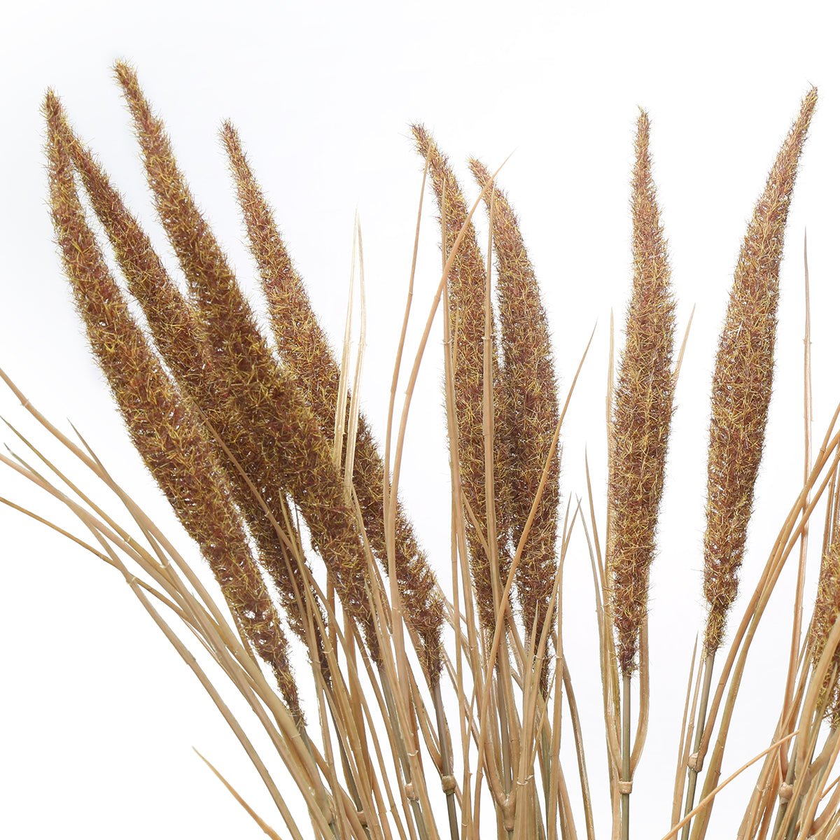 Bouquet de pampa 12 tiges artificielle H80 marron, SIA DECO