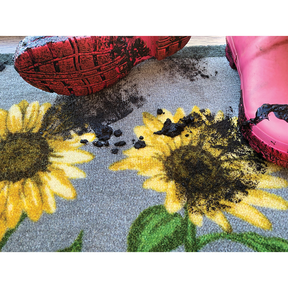 Sunflower Doormat grey/yellow, MY MAT