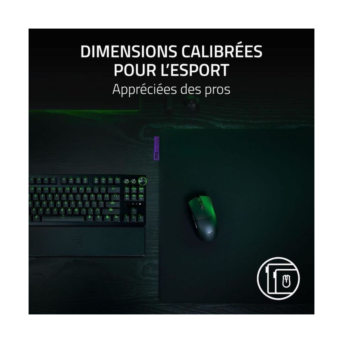 Tapis de souris GIGANTUS V2 PRO L MAX CONTROL couleur unique, RAZER
