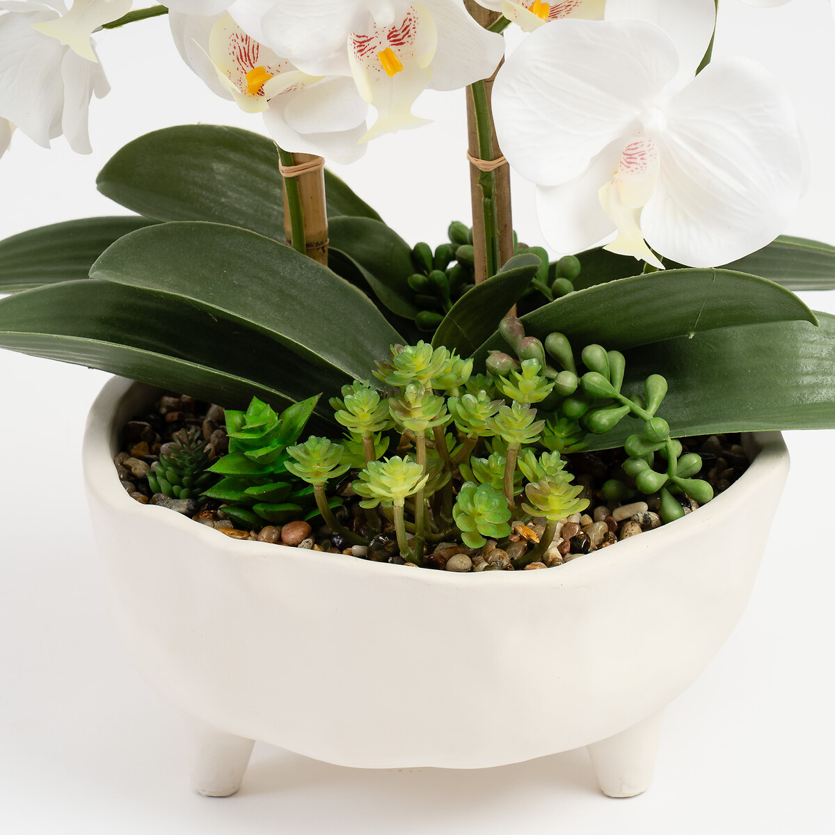 50cm Orchid in Footed Cement pot white, SO'HOME
