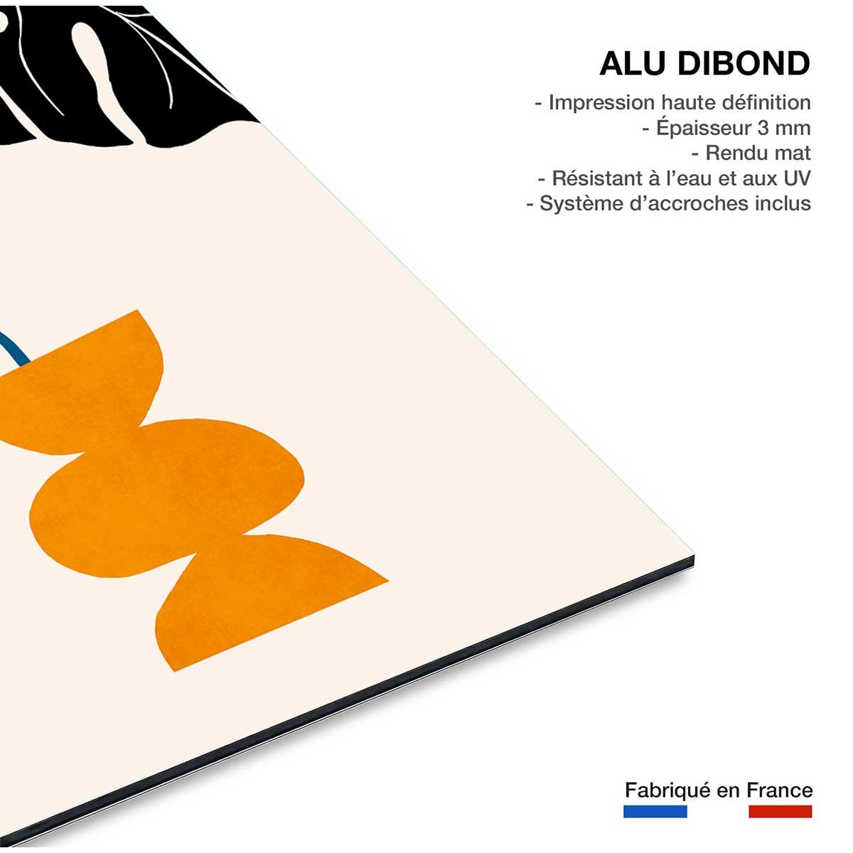Tableau graphique plante en pot tableau alu dibond, HEXOA