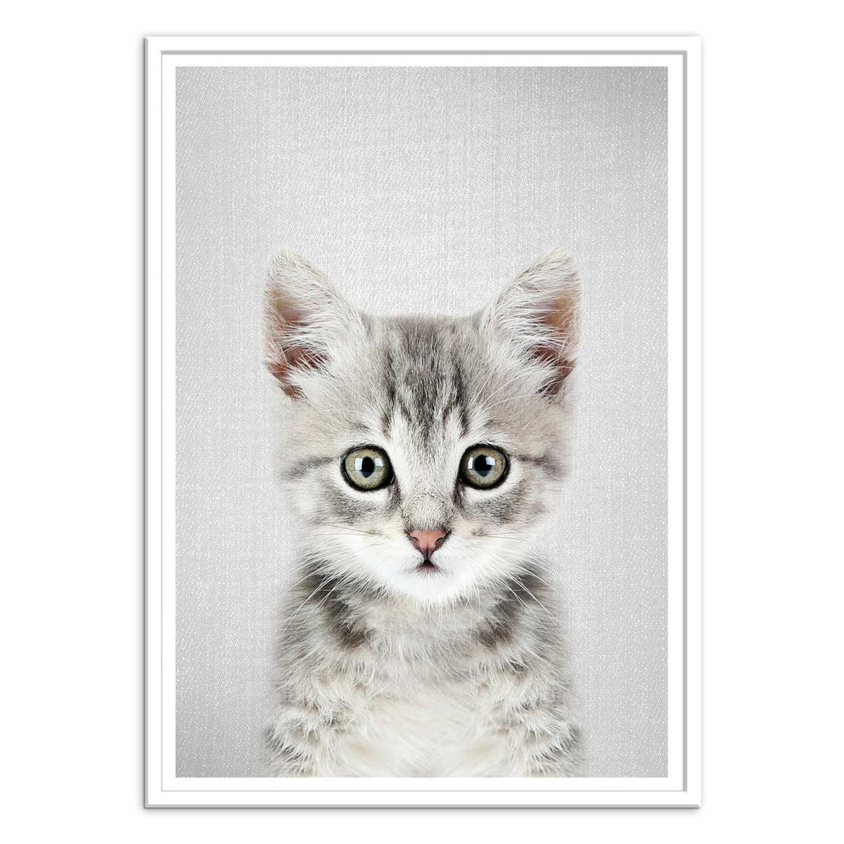 Affiche d'art - Kitten - Gal Design affiche d'art, WALL EDITIONS