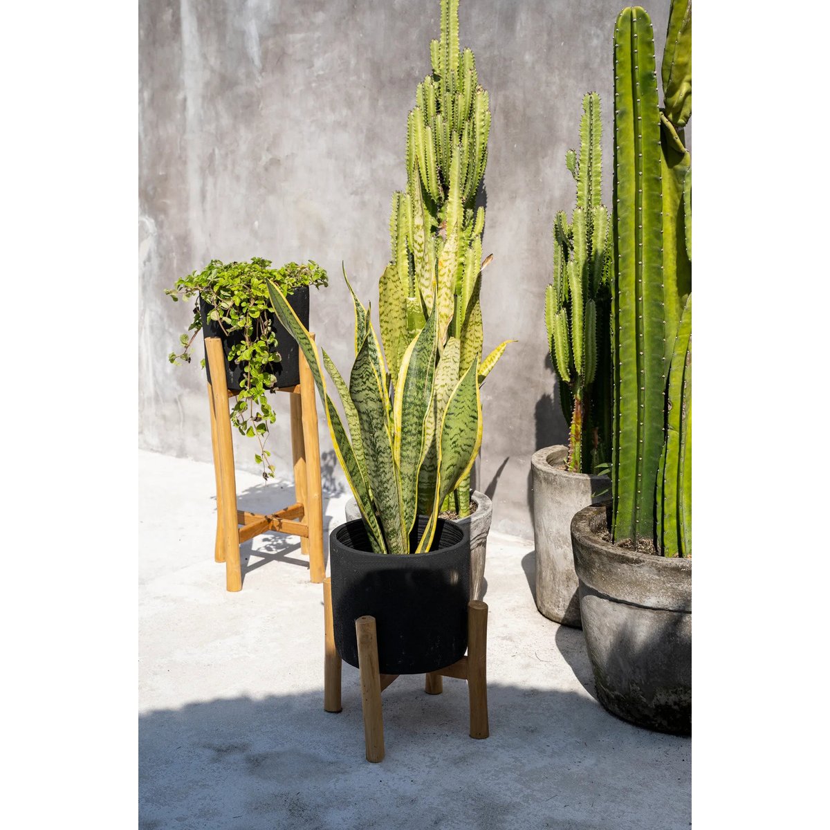 Cache-pot en terre cuite et bois de teck CHALK noir beige, BAZAR BIZAR