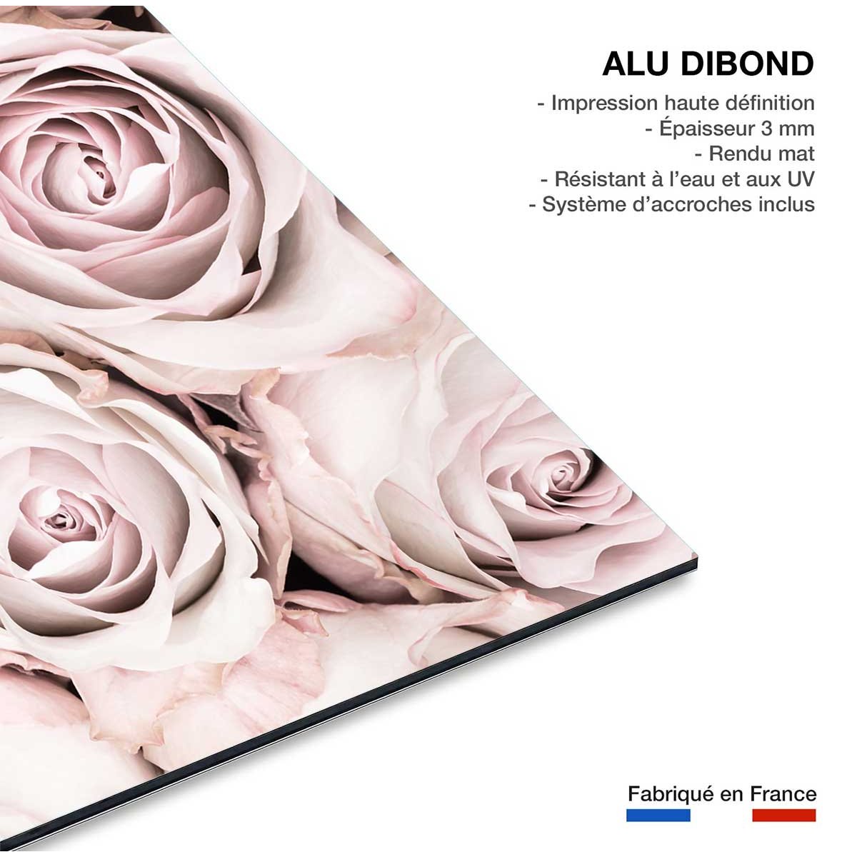 Tableau rosa alba tableau alu dibond, HEXOA