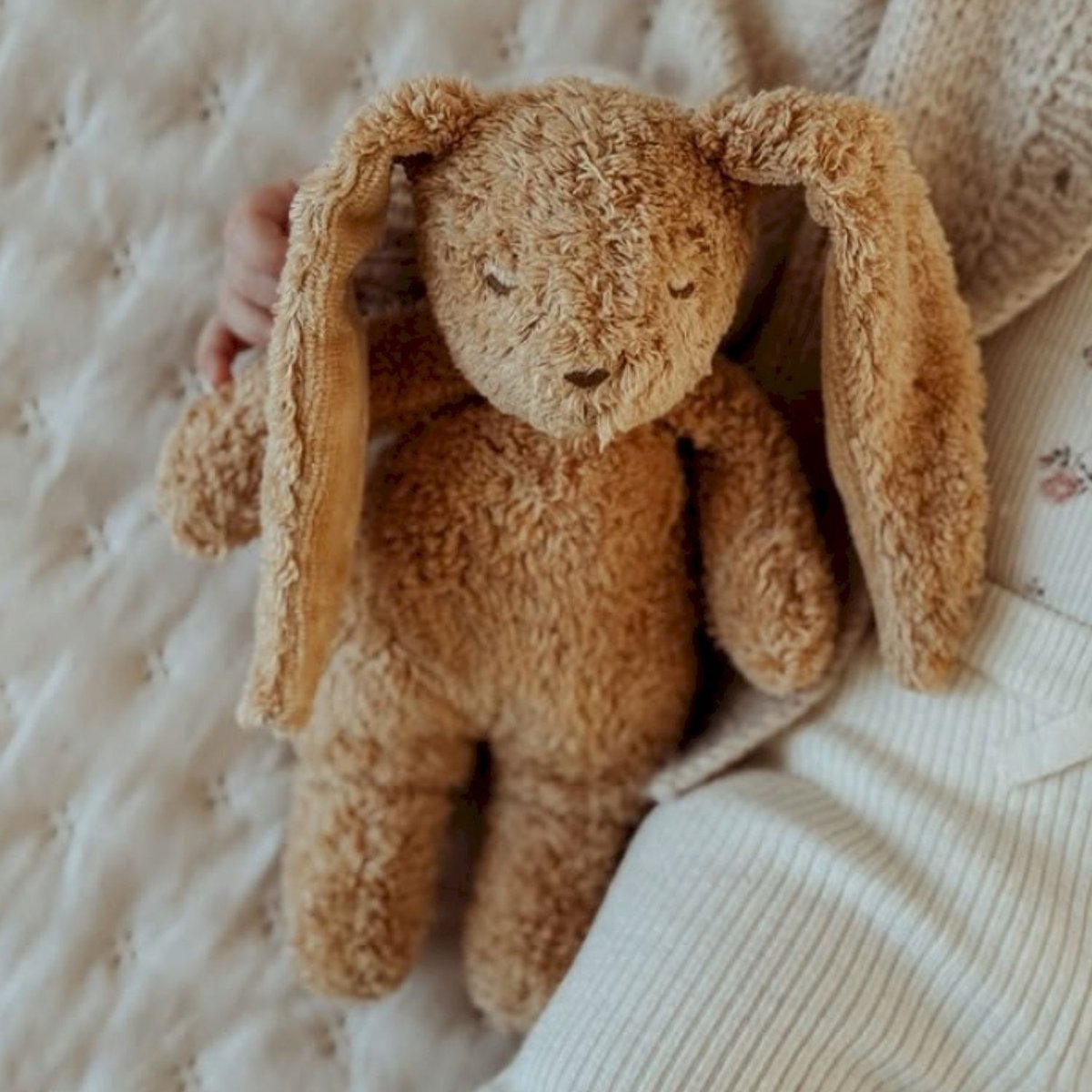 Peluche cappucino, MOONIE
