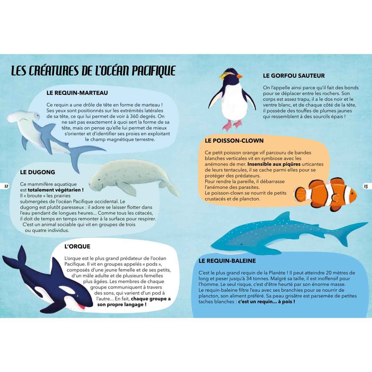 Puzzle & Livre - Voyage, découvre, explore, La mer bleu, SASSI