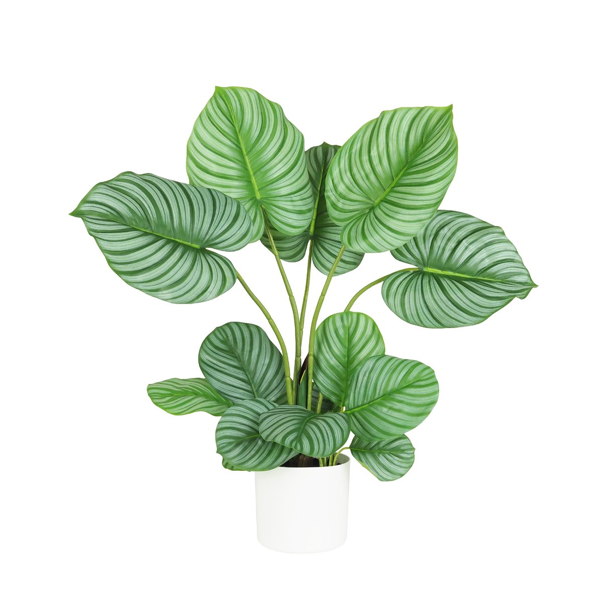 Plante verte calathea artificiel 75cm vert, LIGNE DECO