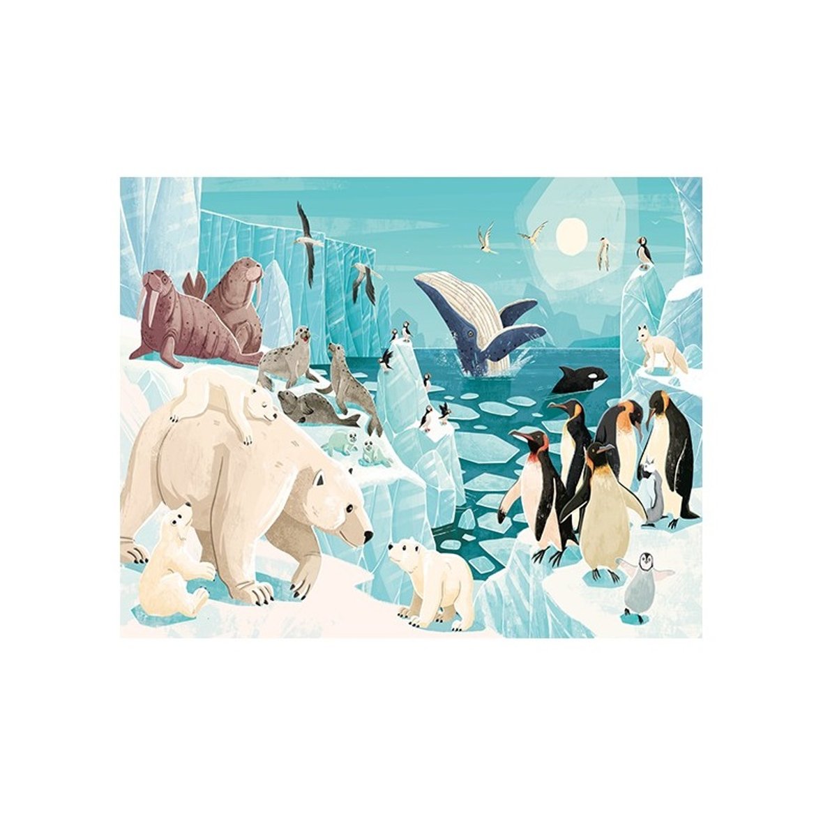 Puzzle & Livre - La Planète en Danger, Les glaces multicolore, SASSI