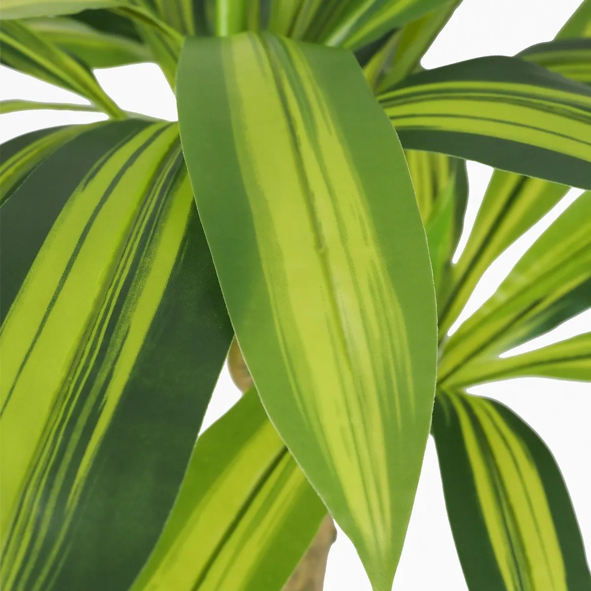 Dracena artificiel toucher naturel 80cm vert, LIGNE DECO