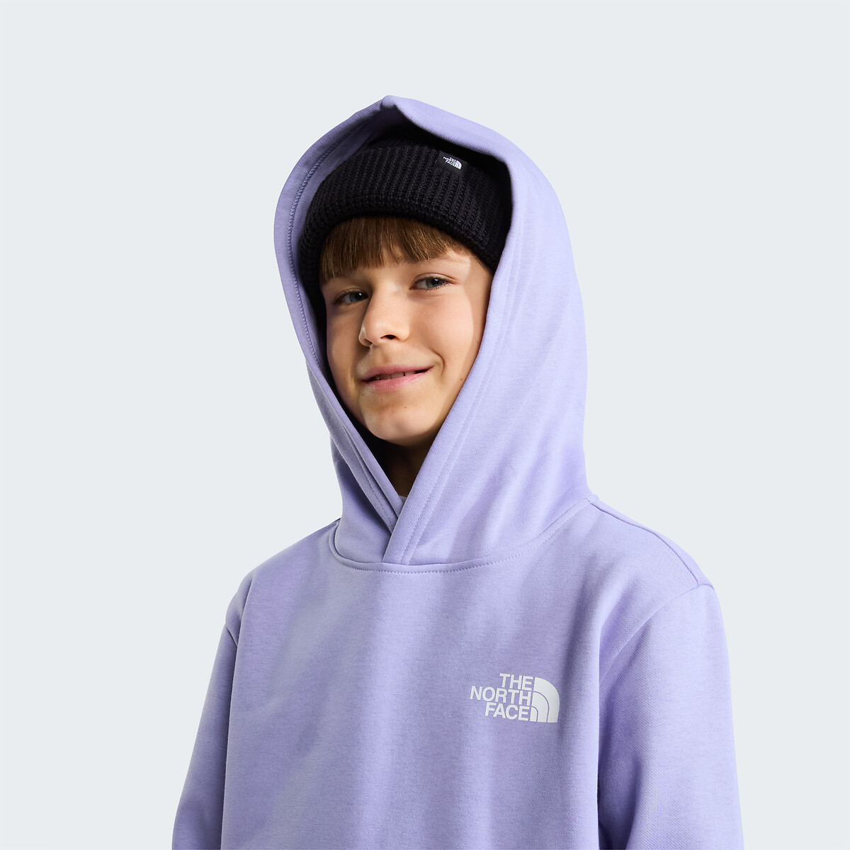 Sweat à capuche, imprimé dos, BOX violet, THE NORTH FACE