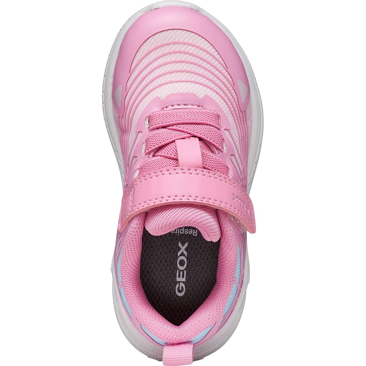 Baskets  B SPRINTYE rose, GEOX