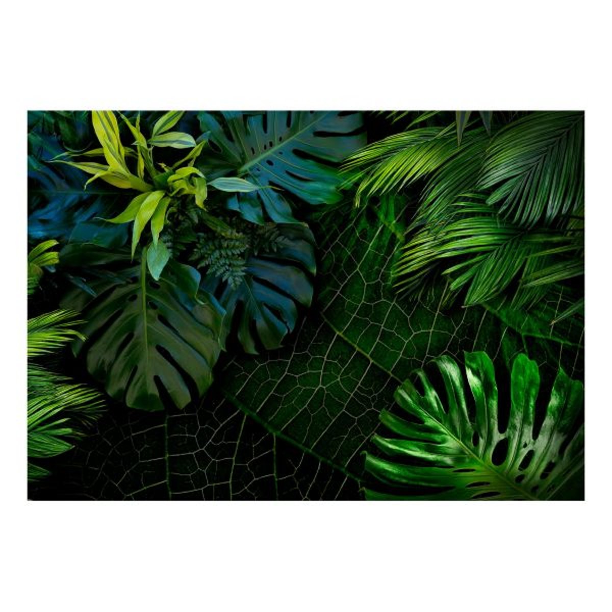 Papier peint intissé panoramique Paysage Dark Jungle noir, EDEN