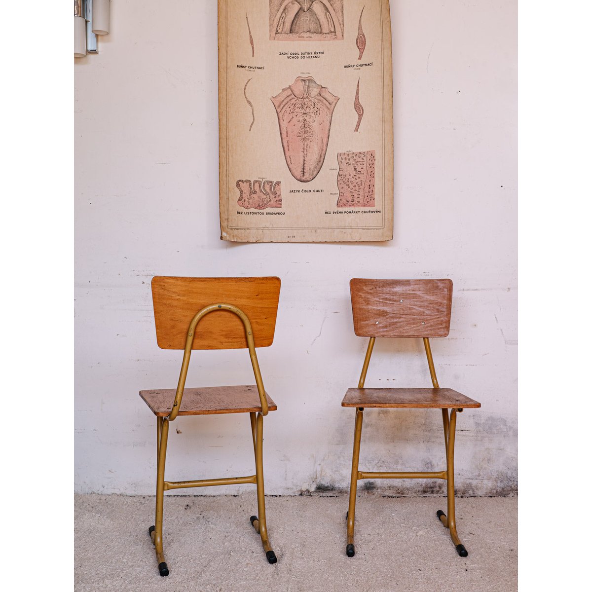Chaise en bois clair Claude N°861 - Bon état bois clair, DEBONGOUT