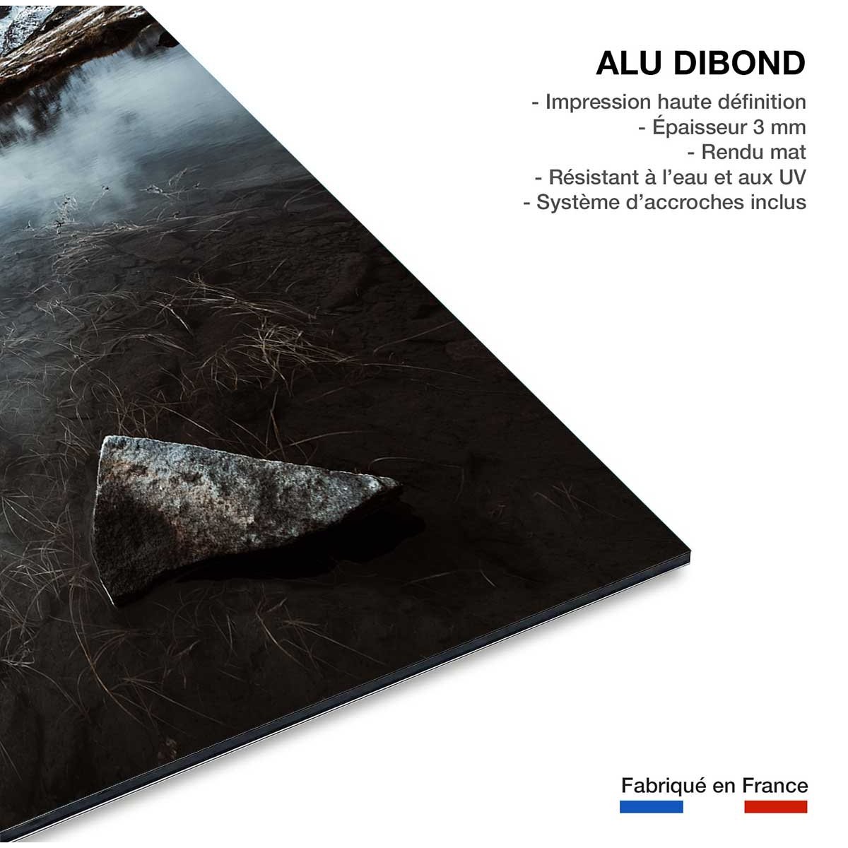 Tableau face aux alpes tableau alu dibond, HEXOA