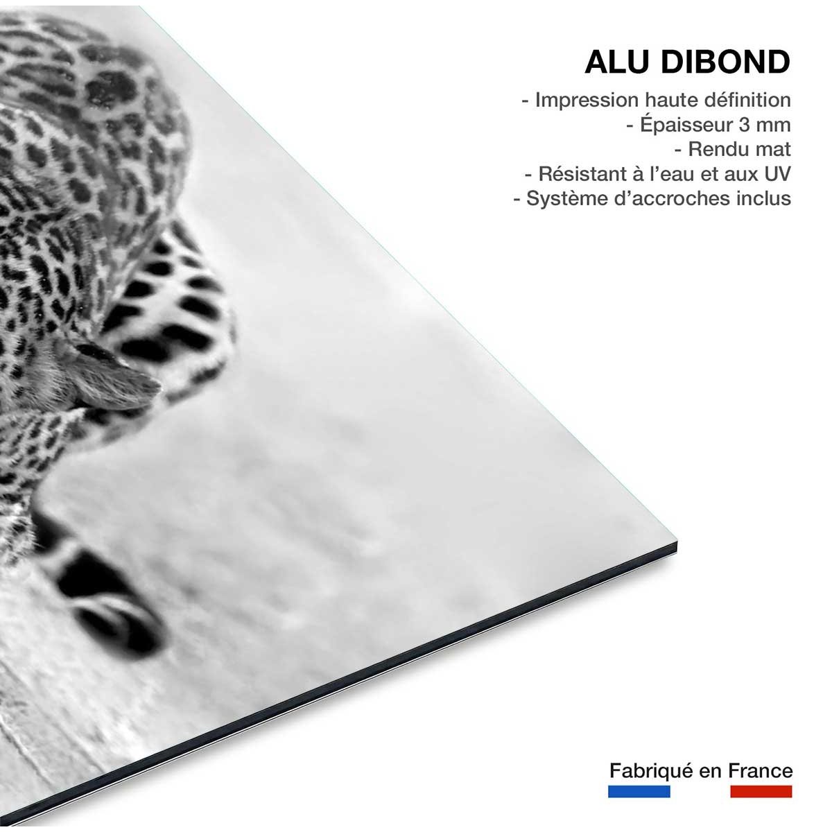 Tableau leopard noir et blanc tableau alu dibond, HEXOA