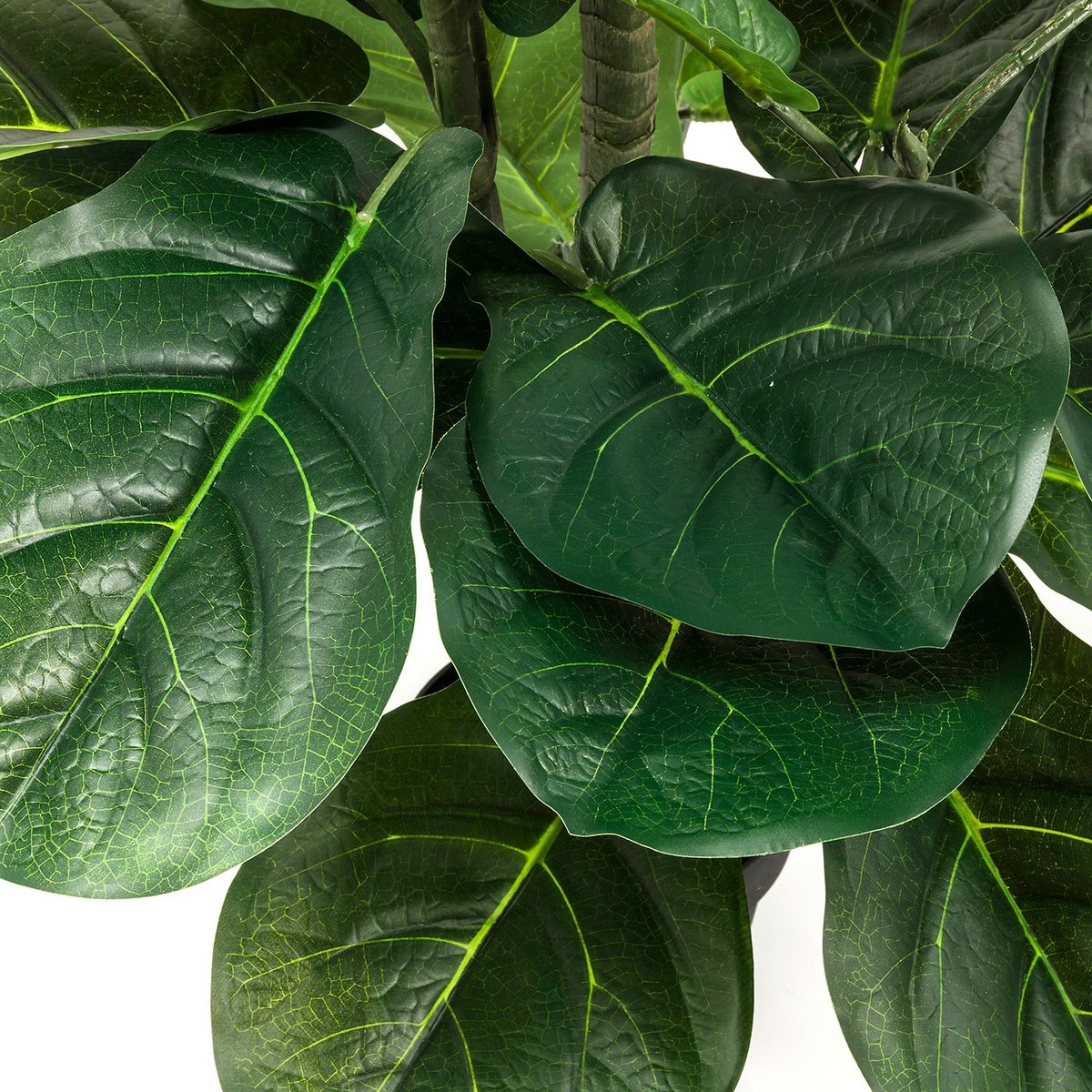 Plante décorative Figuier lyre vert, KARE DESIGN
