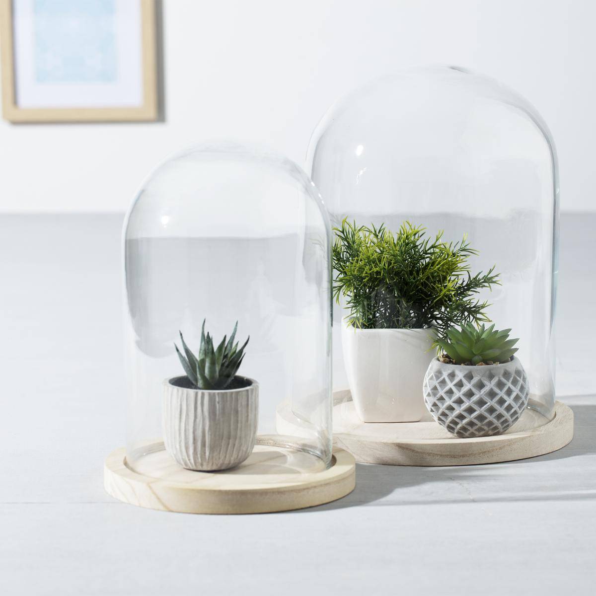 Cloche décorative en verre sur socle bois CLOCHE transparent, ATMOSPHERA