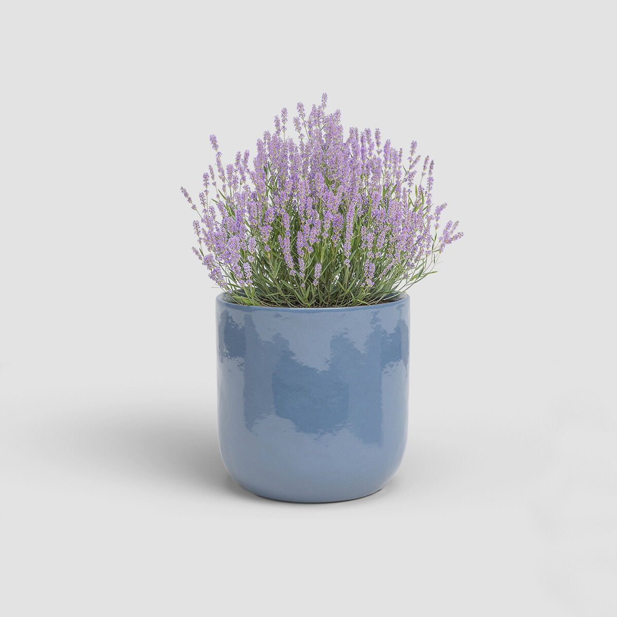 Vaso Júpiter 25, ARTEVASI azul, ARTEVASI