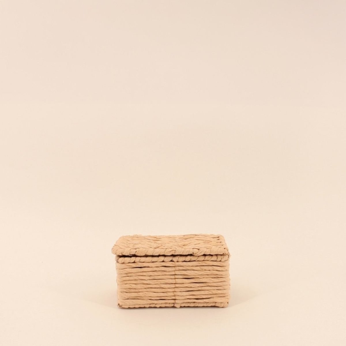 Lot de 2 boites en corde papier armatures métal beige, ORNAMI