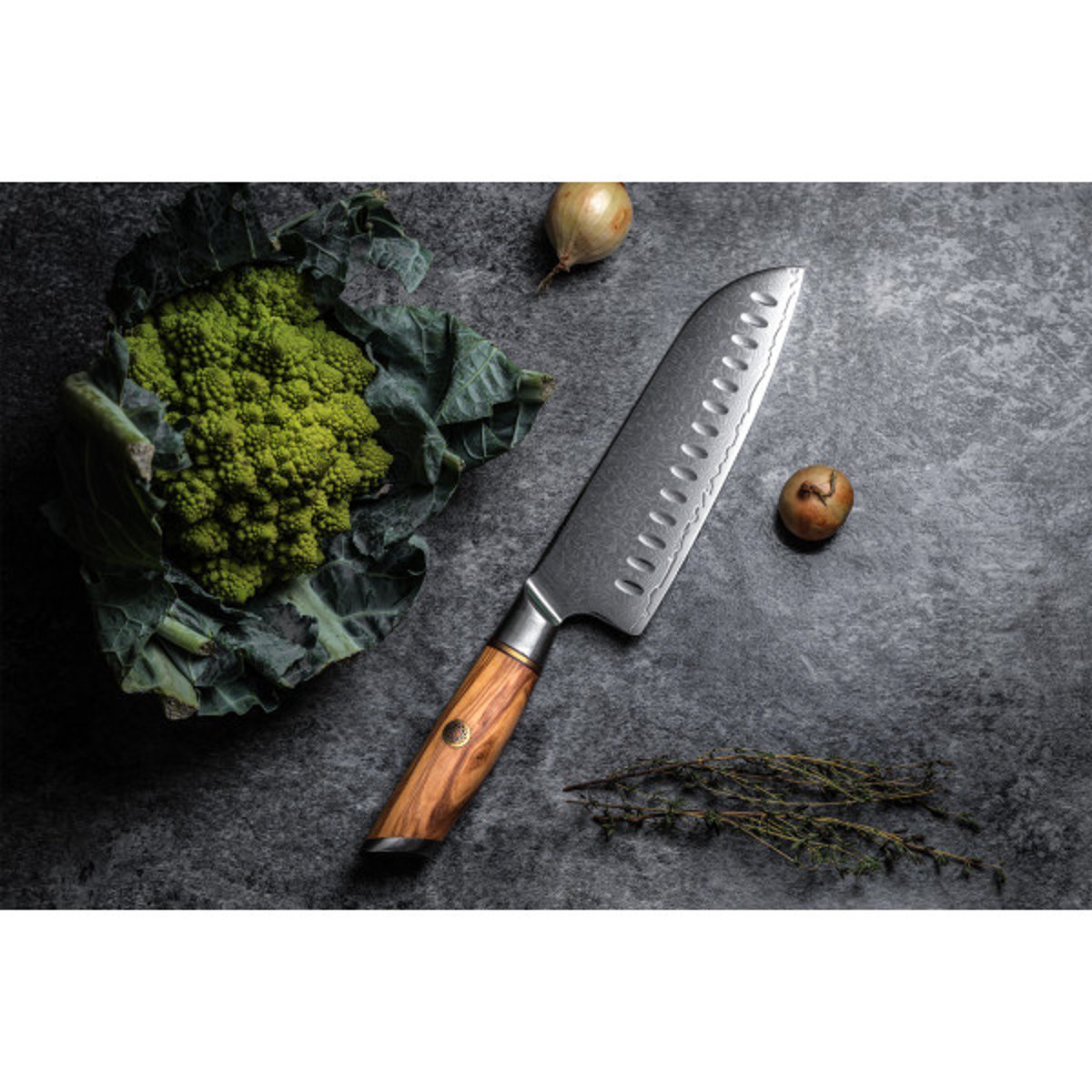 Couteau de cuisine Olive Damas modèle Santoku 18cm v002237, FUKITO
