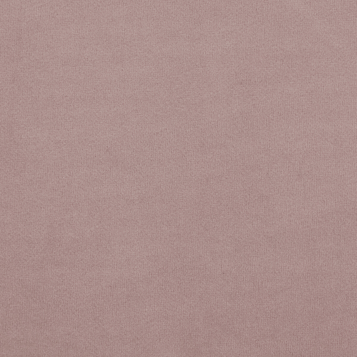 Emeline Velvet Snuggle Chair with Castor Legs blush pink, ÉDITÉ