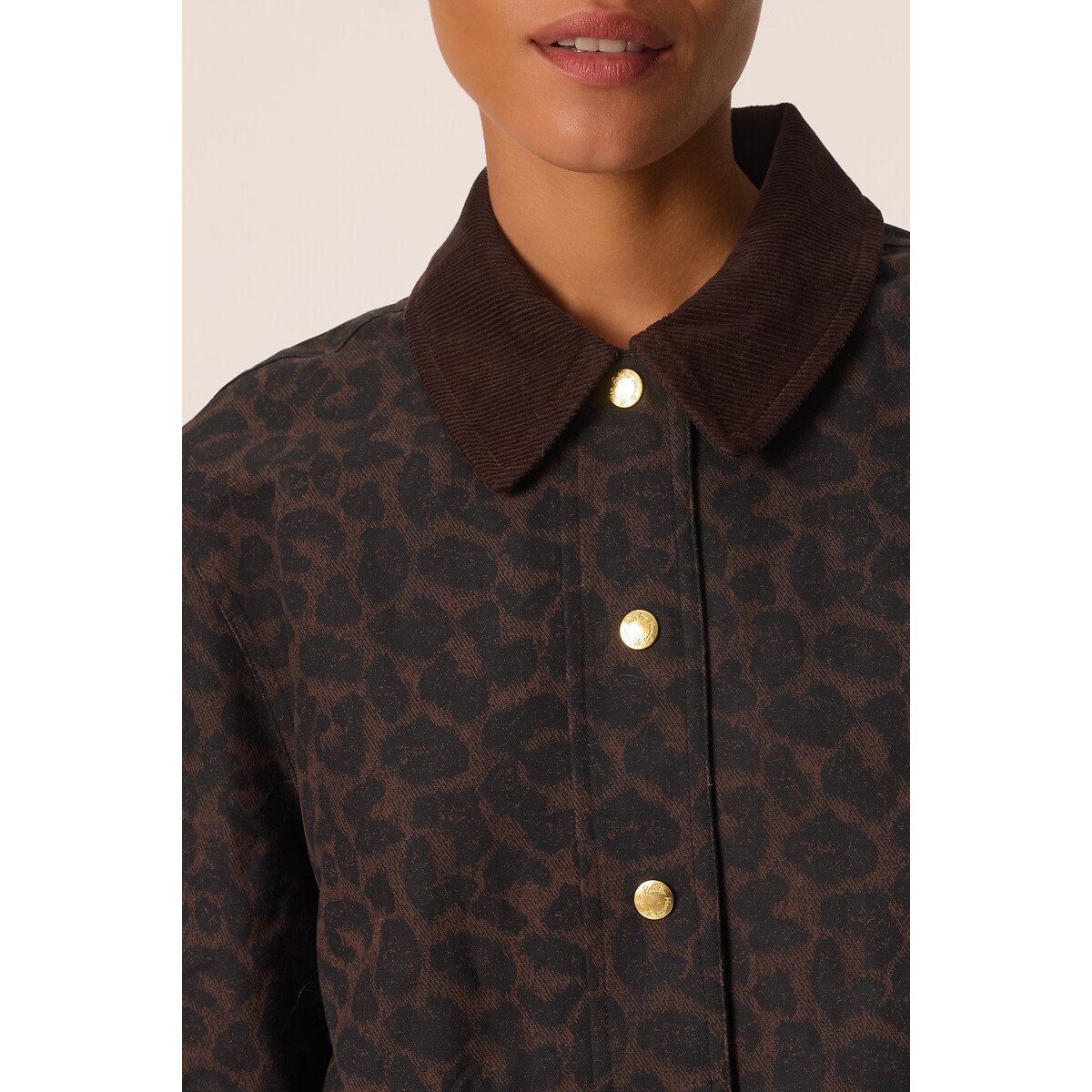 . fantasia leopardata, DES PETITS HAUTS