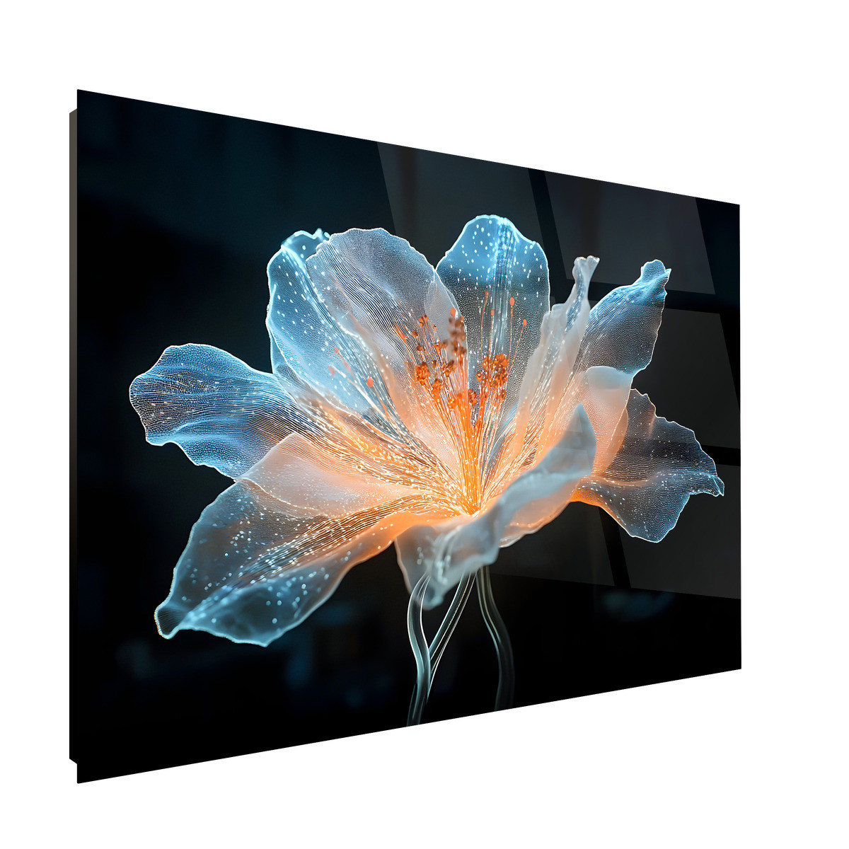 Tableau Sur Verre Synthétique Fleur Illuminée FLEUR tableau en verre synthétique, CEANOTHE