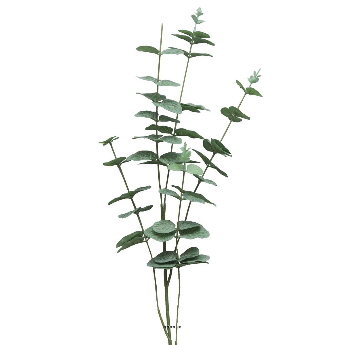 Eucalyptus artificiel en branche, 5 ramure v002239, ARTIFICIELLES