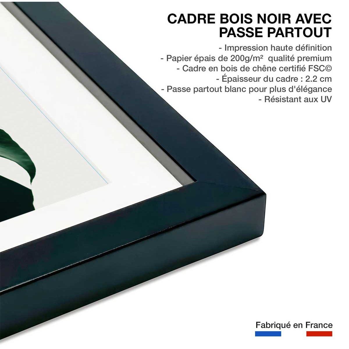 Affiche monstera due affiche + cadre en bois - noir, HEXOA