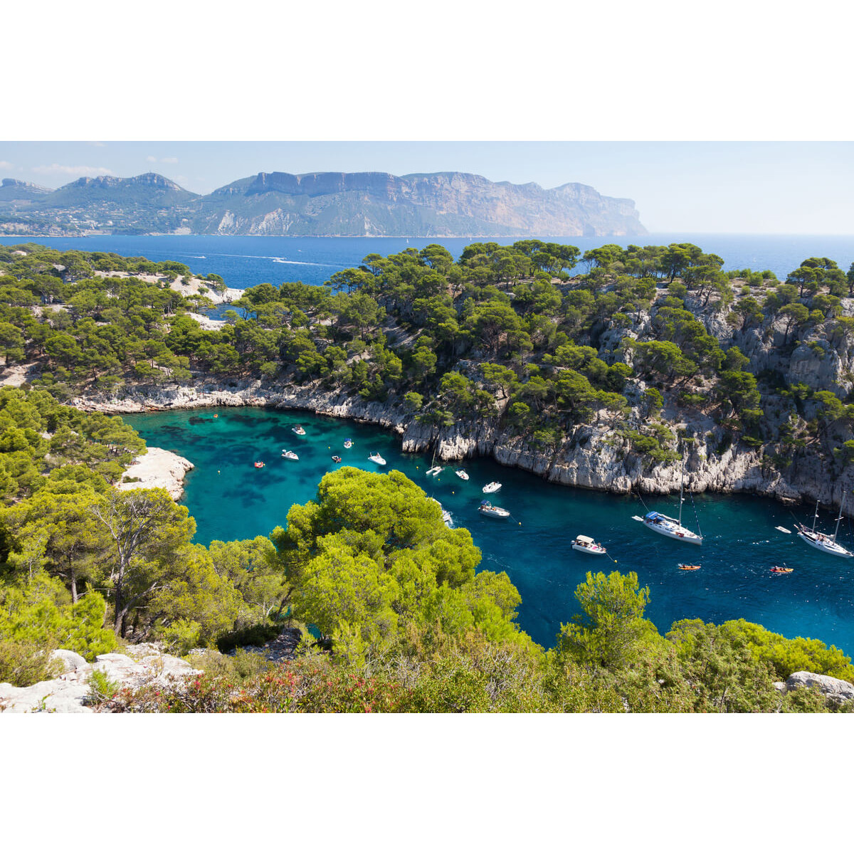 Tableau Mural Paysage De Cassis MER tableaux sur toile-vert, CEANOTHE