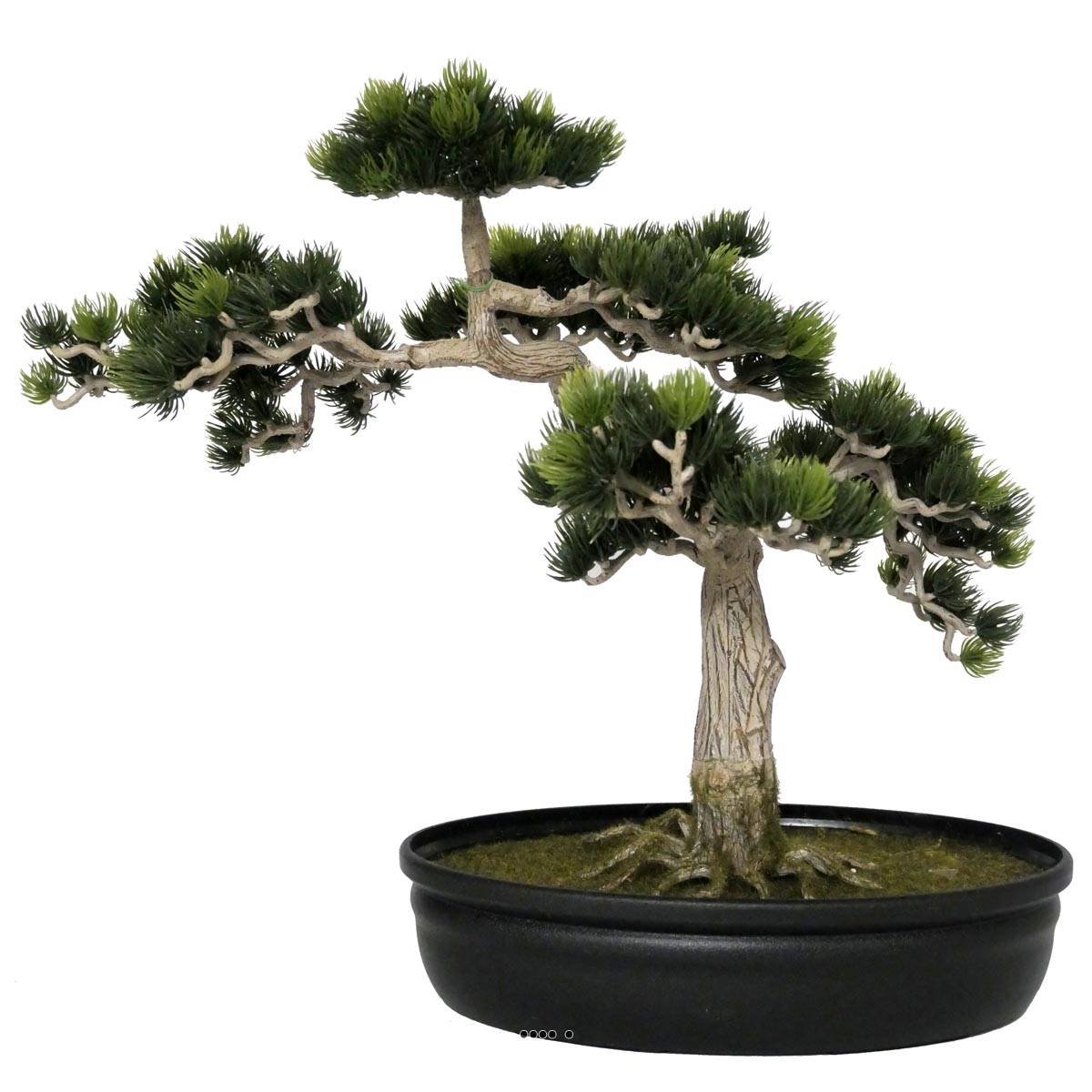 Bonsai artificiel Formosa H 40 X 45 CM vert, ARTIFICIELLES