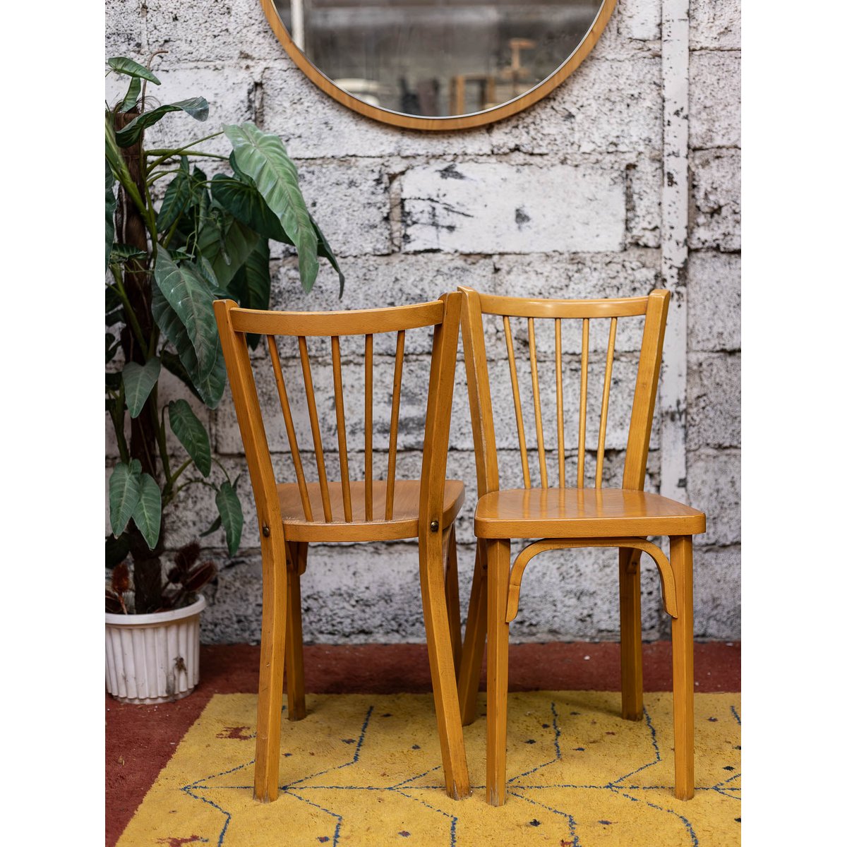 Paire de chaises Baumann Alma N°2128 - Bon état bois clair, DEBONGOUT