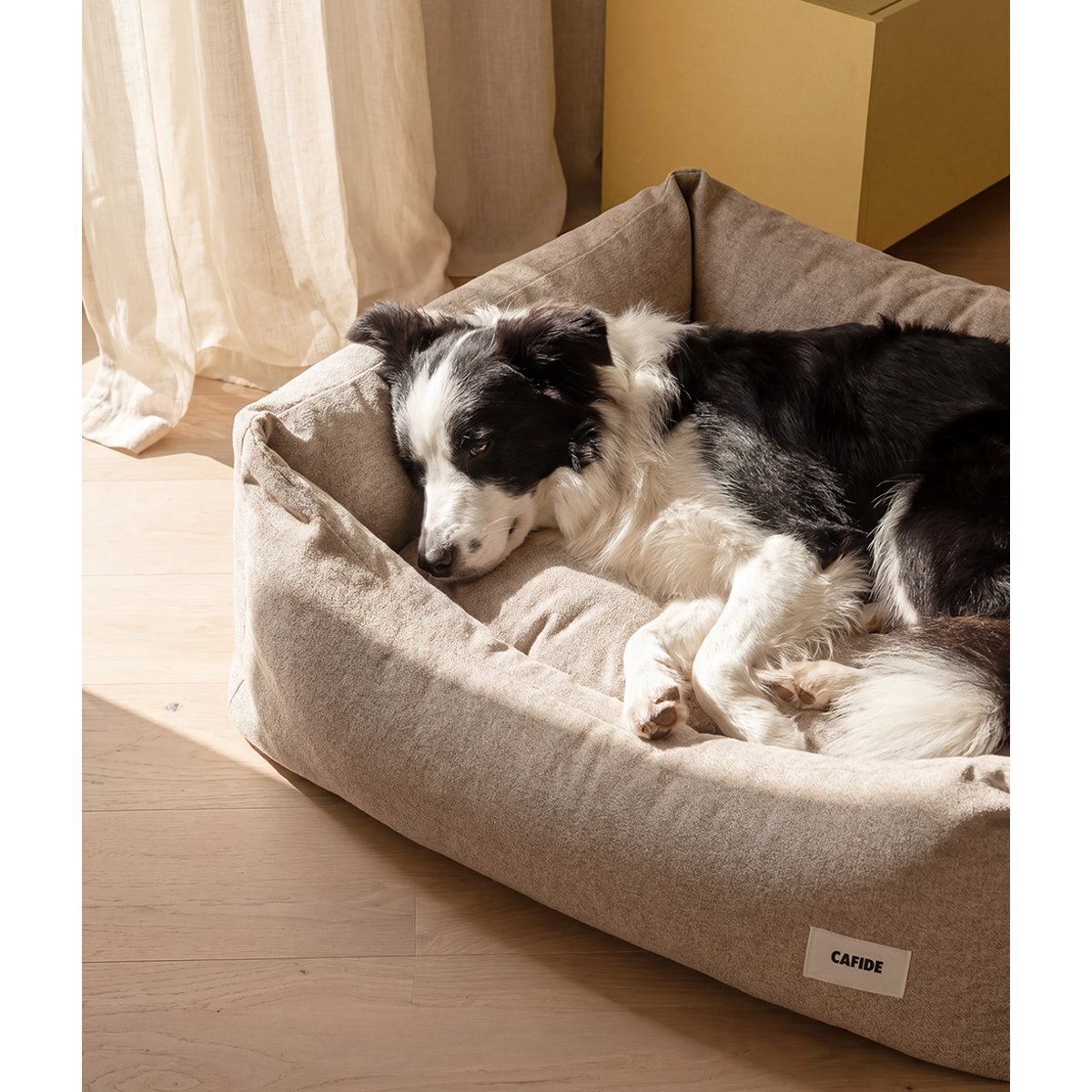 Panier pour chien classique, SNOZY beige, CAFIDE