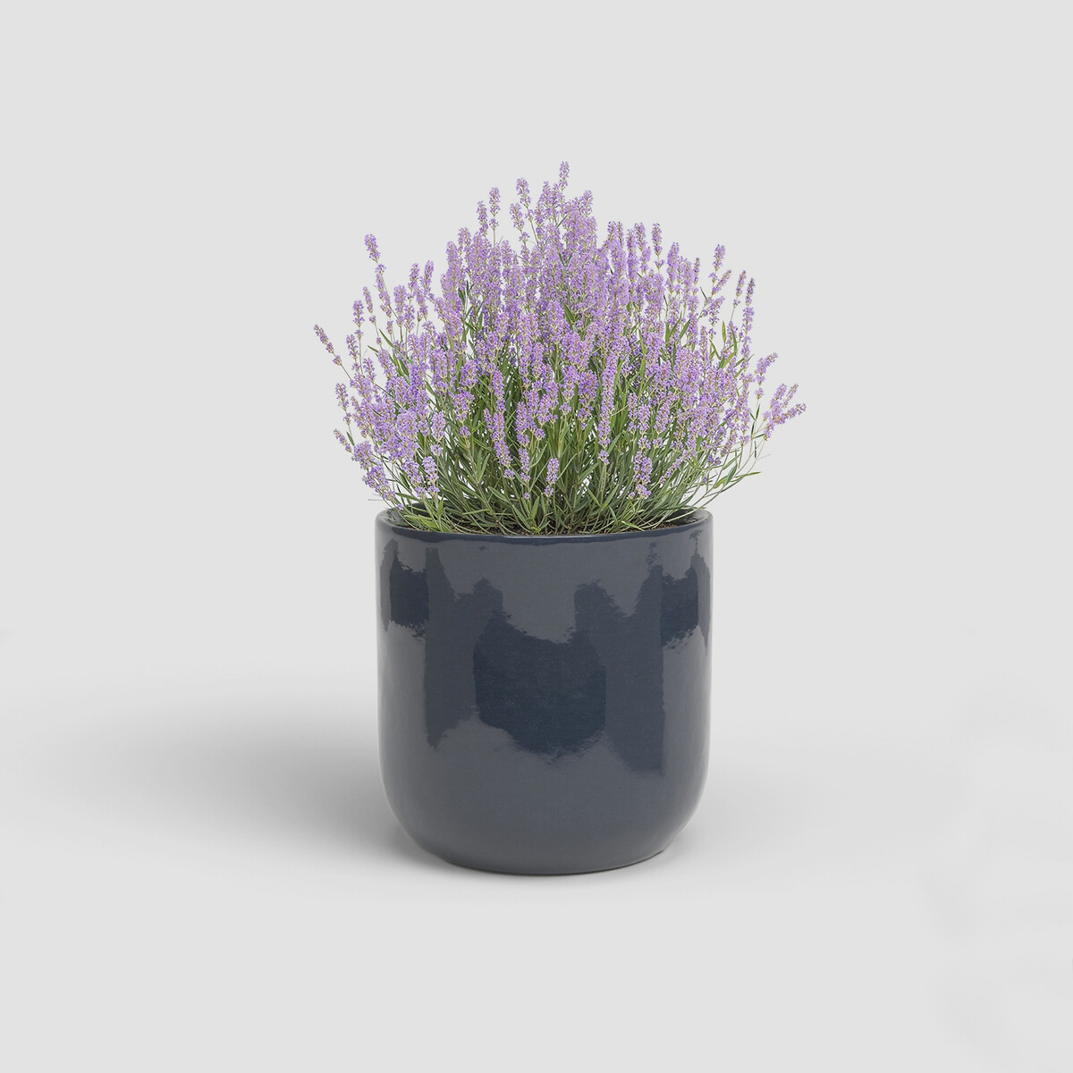 Vaso Júpiter 39, ARTEVASI azul-noite, ARTEVASI