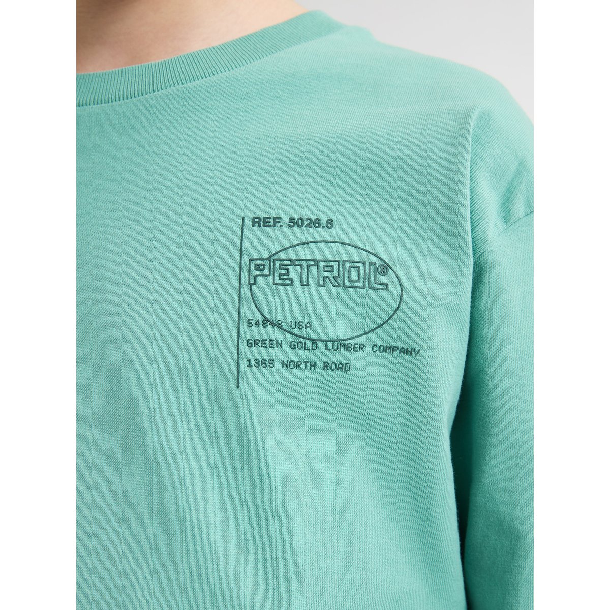 T-shirt à imprimé arrière shenandoah bleu pale aqua, PETROL INDUSTRIES