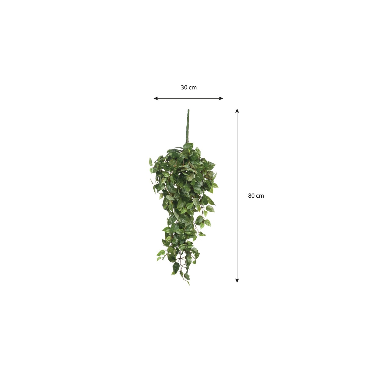 Plante artificielle SCINDAPSUS HANGING vert, MICA DECORATIONS