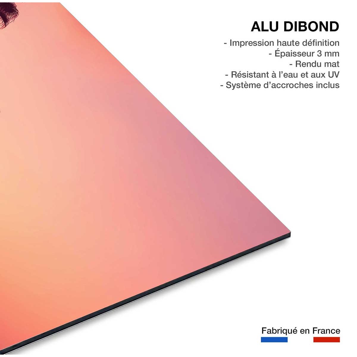 Tableau palmier rose ciel tableau alu dibond, HEXOA