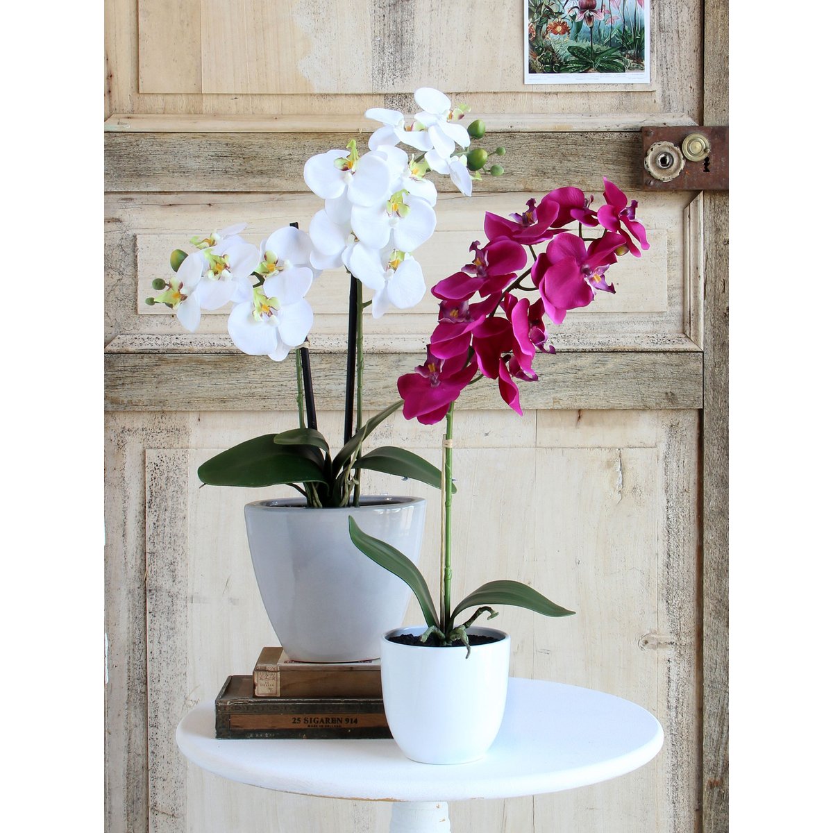 Plante artificielle PHALAENOPSIS violet, MICA DECORATIONS