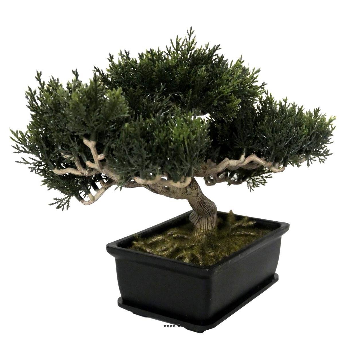 Bonsai artificiel Cedre H 23 cm 113 feuilles v002239, ARTIFICIELLES
