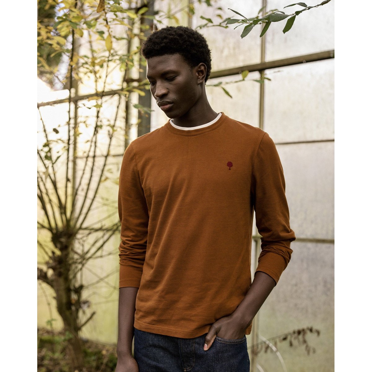 T-shirt coton BAILLY rouille, FAGUO