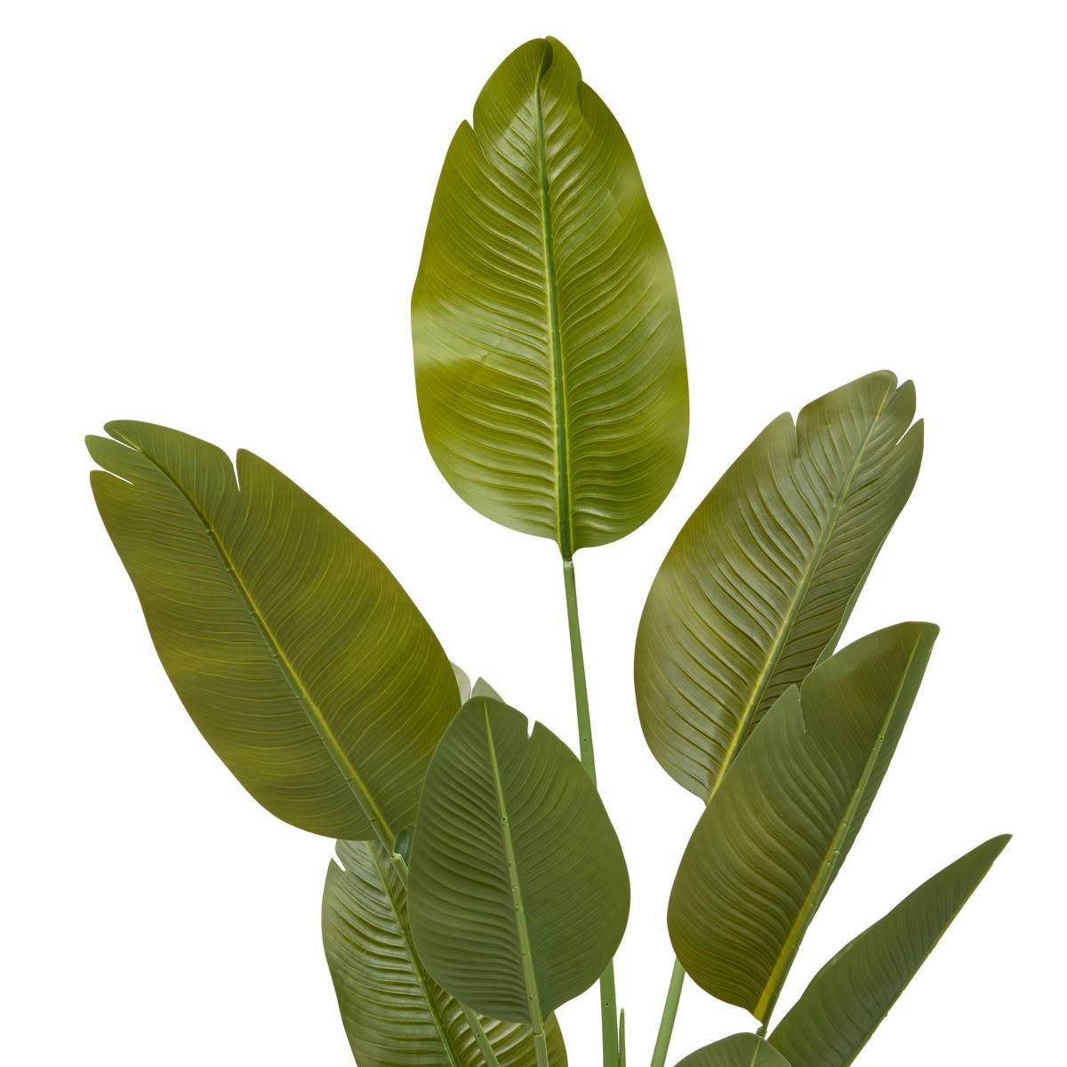 Bananier Artificielle H140 cm avec Pot LORA vert, ATMOSPHERA