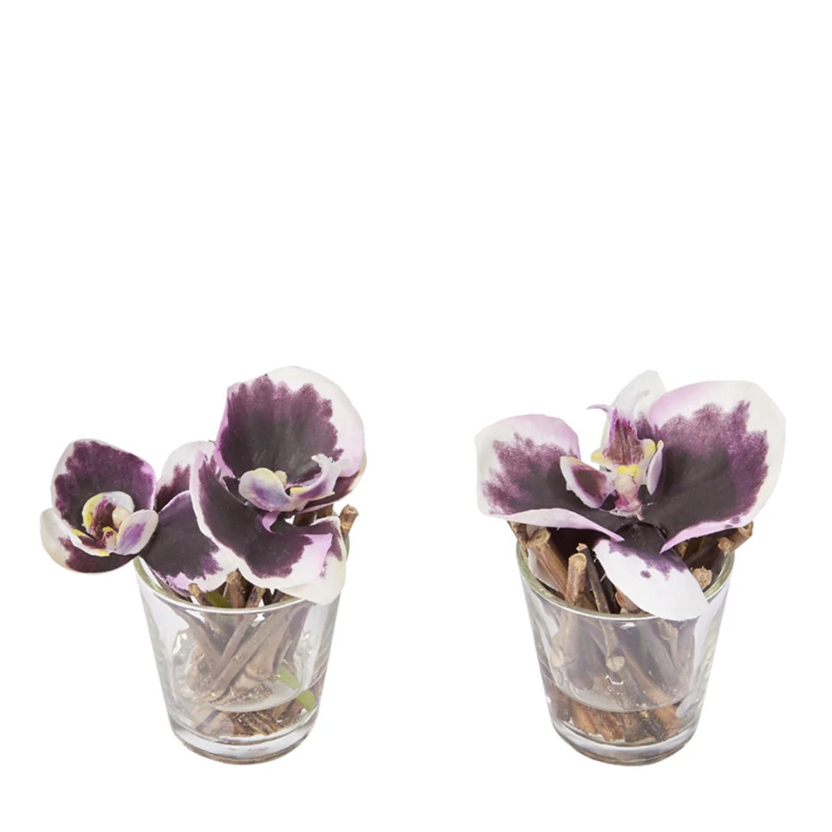 Set de 2 orchidées en illusion d'eau artificielles D10 SISSI violet, SIA DECO