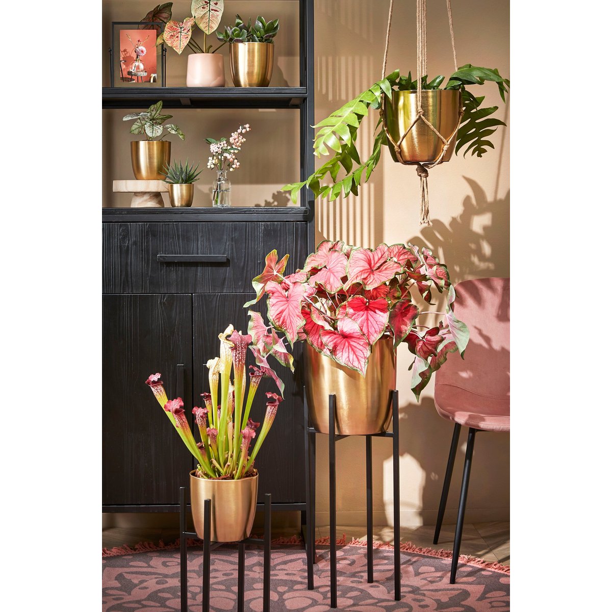 Support pour plantes H50 cm ASCOT XL noir, MICA DECORATIONS