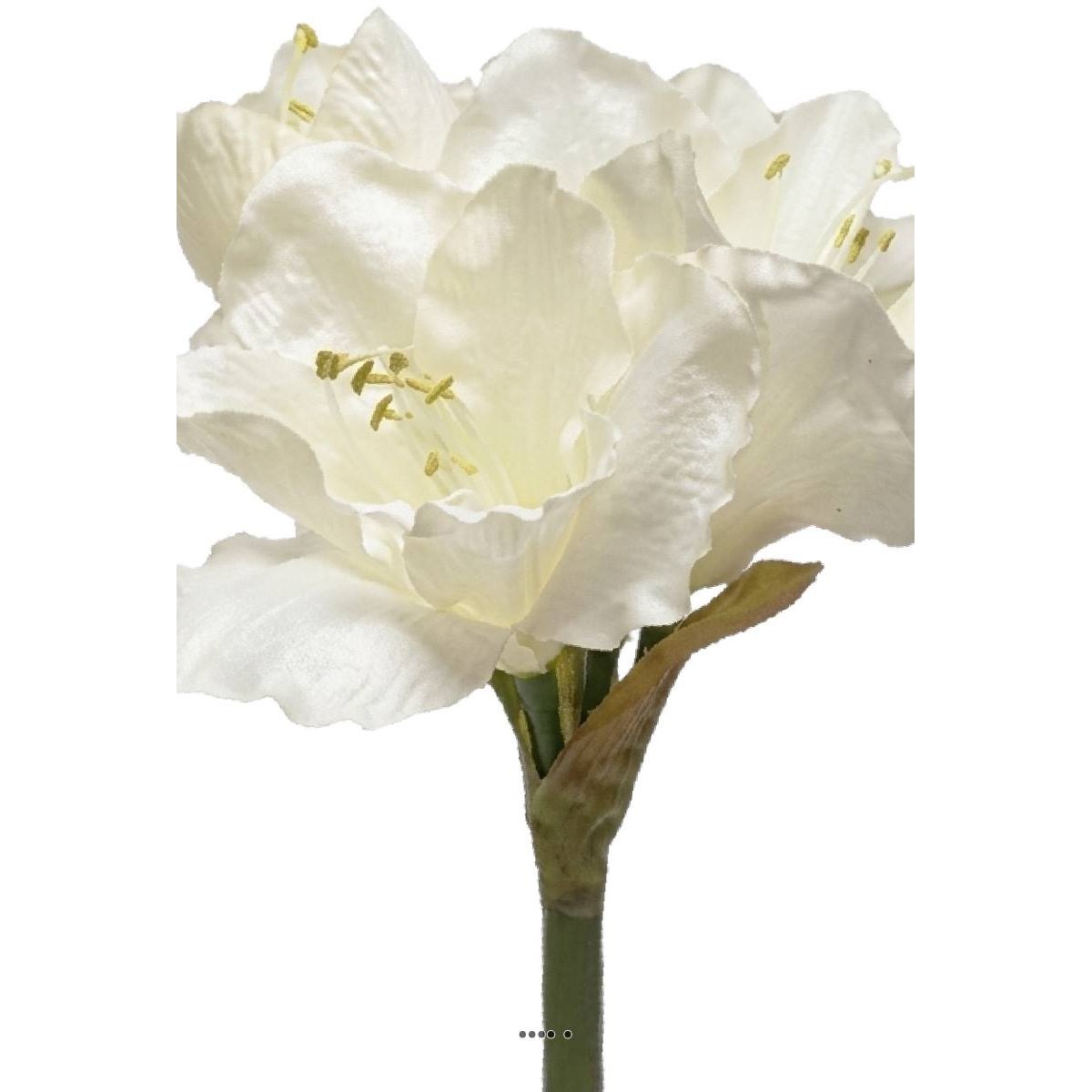 Amaryllis artificiel H 65 cm Superbe Crème crème, ARTIFICIELLES