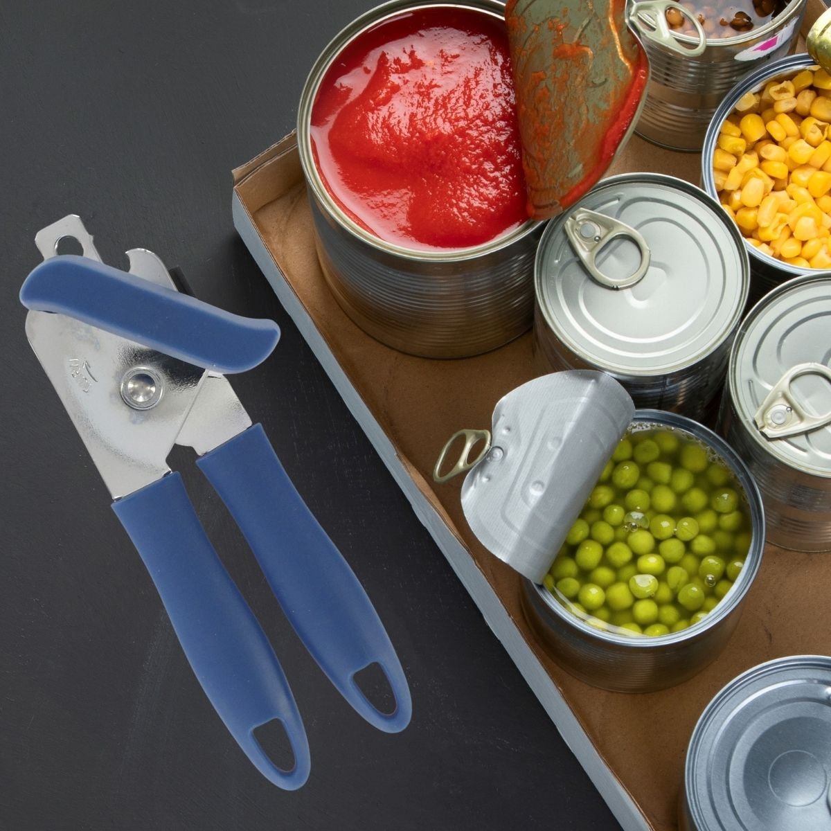 Set de 2 ouvre-boîtes en plastique et acier ELEMENTAL bleu|gris, FACKELMANN