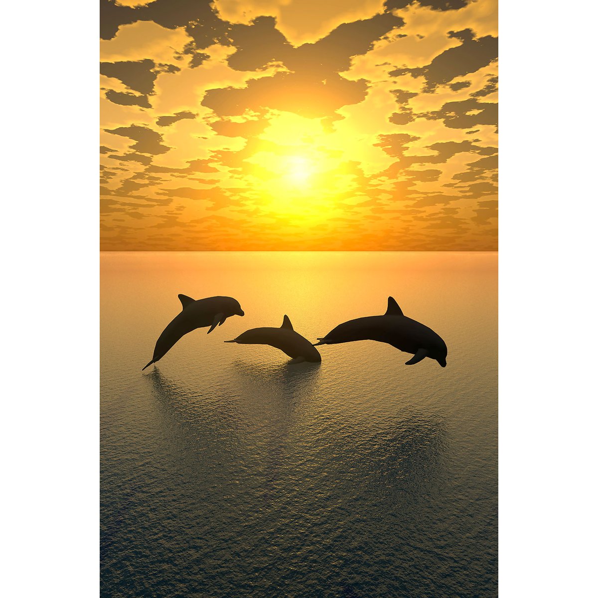 Tableau décoratif dauphins tableau alu dibond, HEXOA