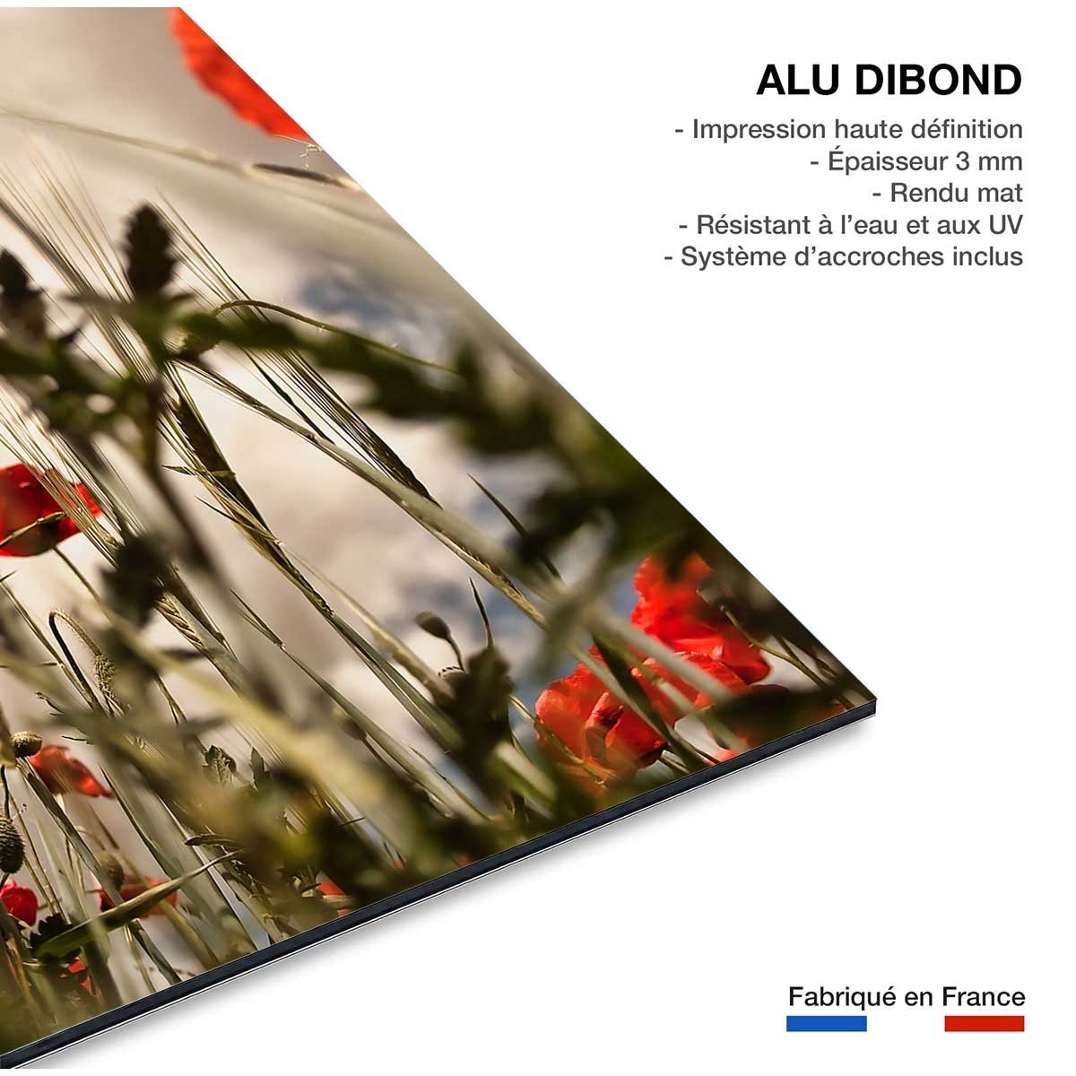 Tableau coquelicots décoration murale moderne tableau alu dibond, HEXOA