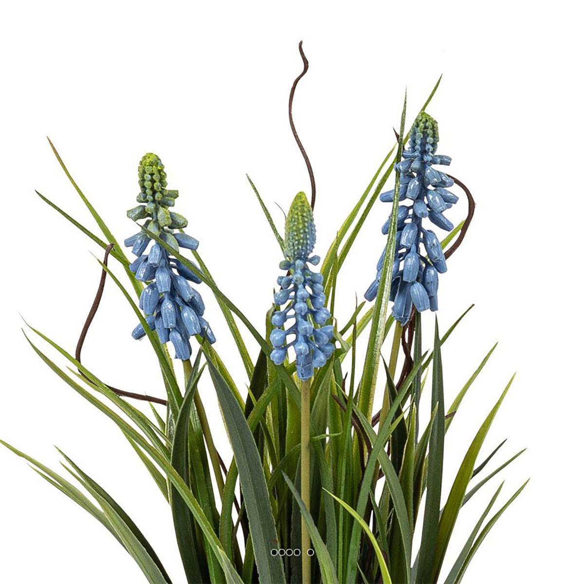Muscaris artificiels 3 têtes sur boule bleu royal 250, ARTIFICIELLES