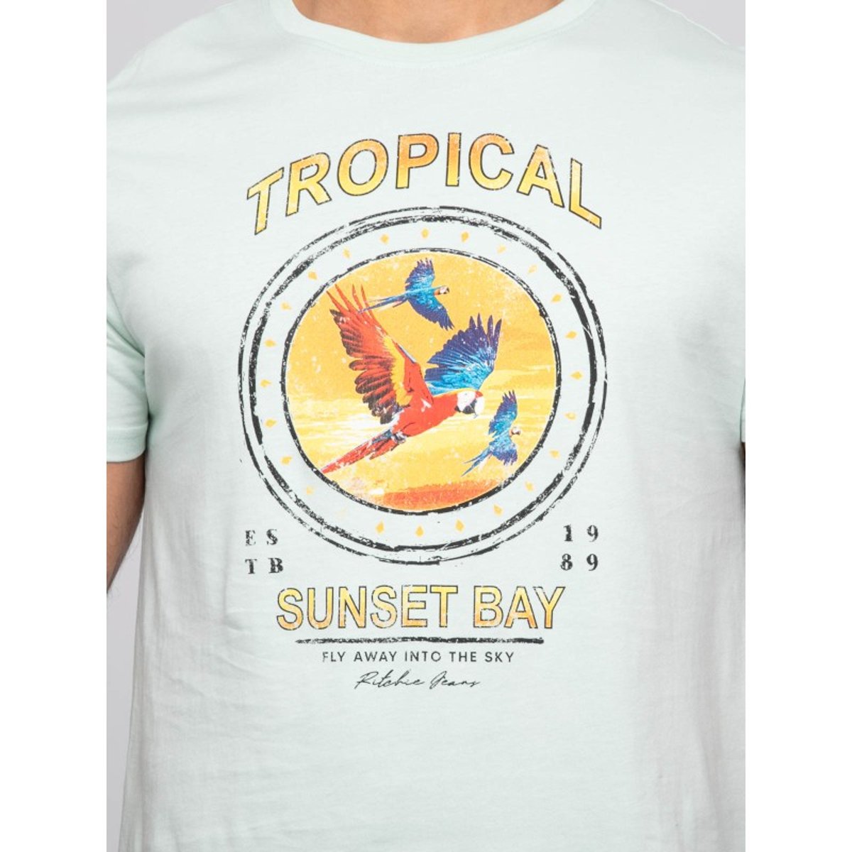 T-shirt Manches Courtes Nalago vert, RITCHIE